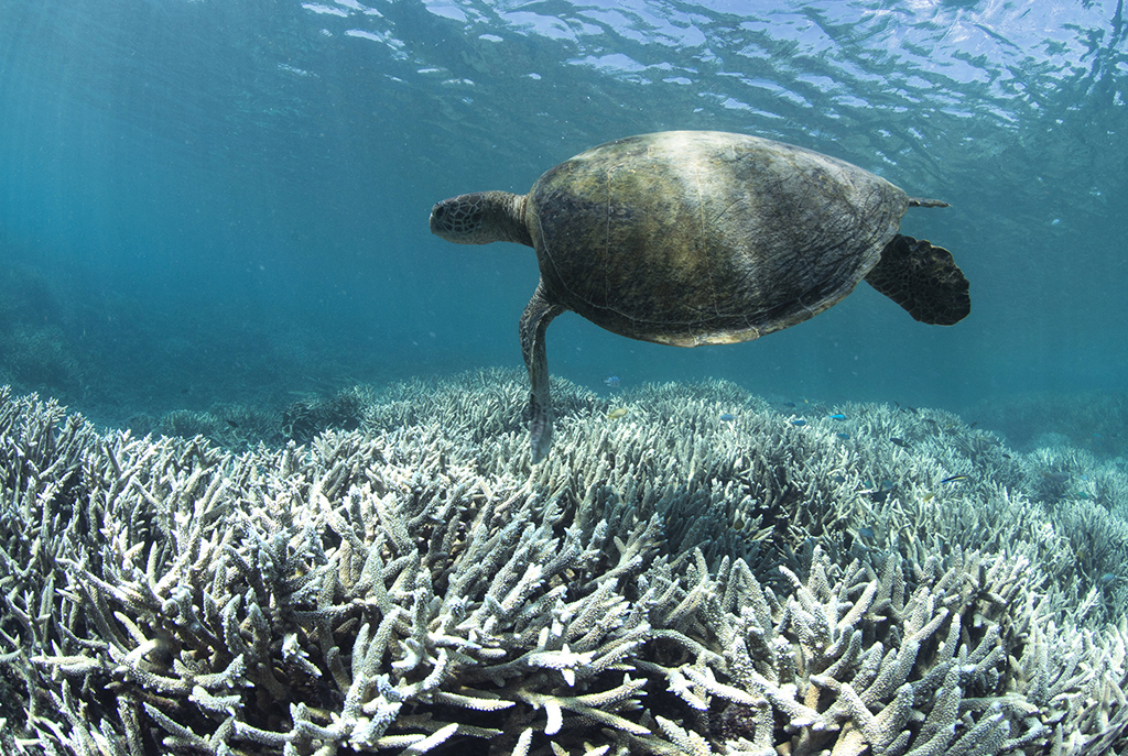 vanishing natural wonders made by water