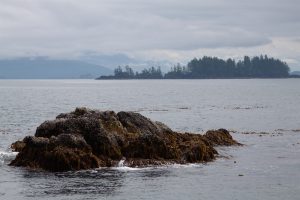 places to explore by kayaking