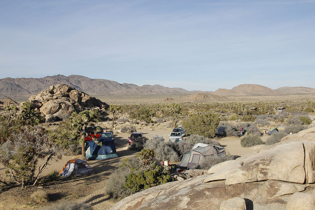 Sheep_Pass_Campground_in_Joshua_Tree_National_Park_-_11